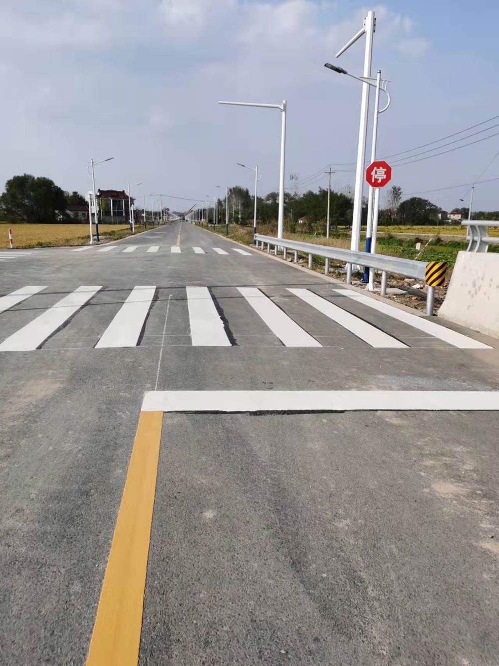 都天廟路道路工程設計施工總承包項目DTML-EPC標段